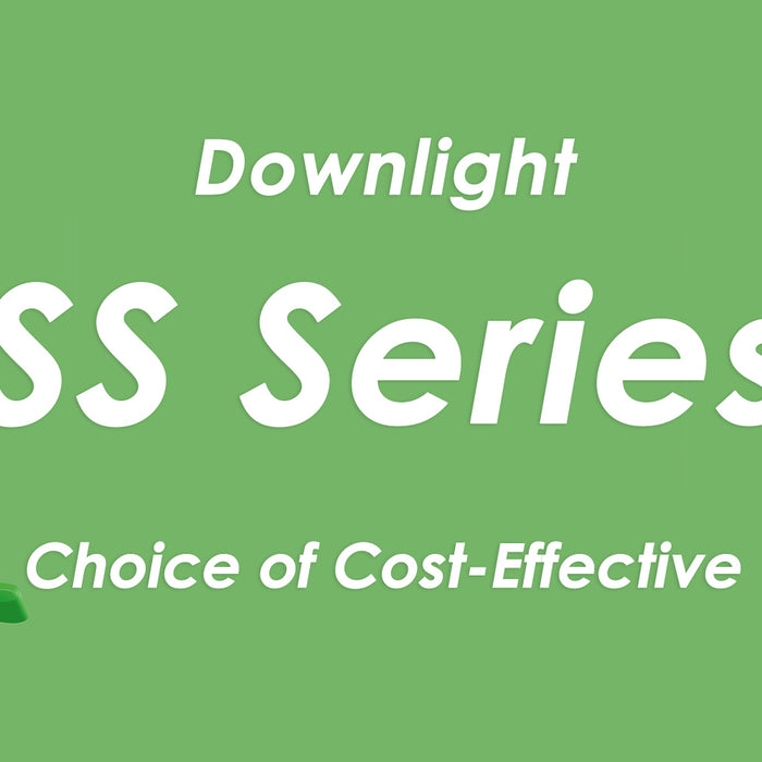 The Classic SS Series Downlight